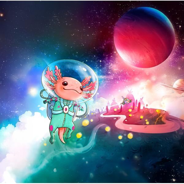 Haba Společenská rodinná hra Galaxolotl od 8 let (obrázek 7)