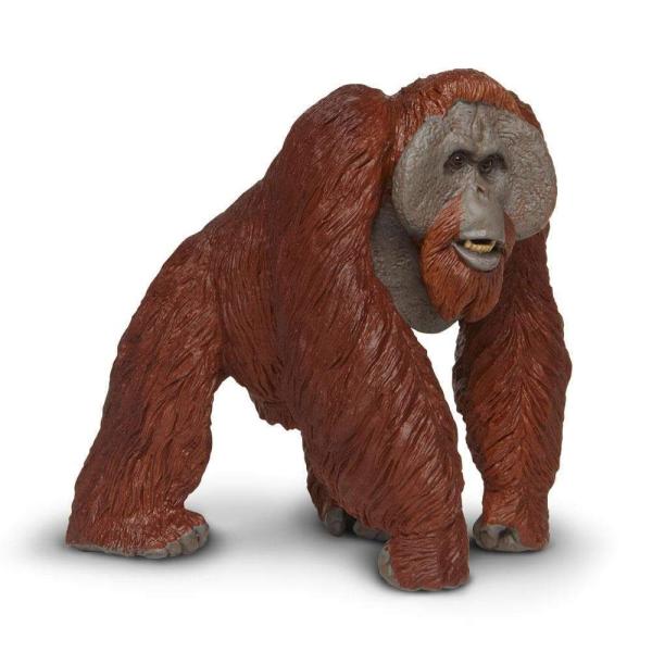 Safari® Orangutan bornejský