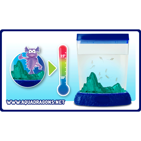 Vodní dráčci v akváriu s indikátorem teploty vody (obrázek 6)