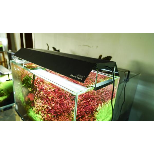 Chihiros tienenie pro WRGB II 30 černá 2ks