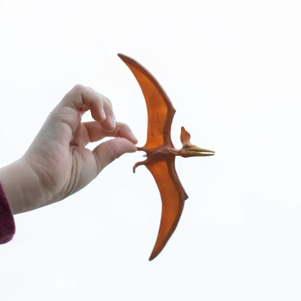 Safari® Pteranodon dinosaurus YL (obrázek 6)
