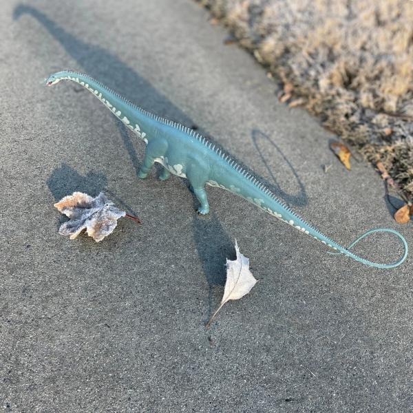 Safari® Diplodocus dinosaurus