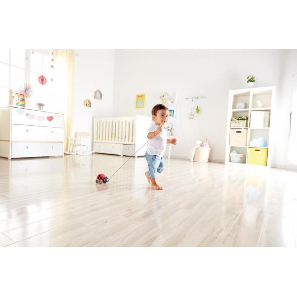 Hape Tahací beruška