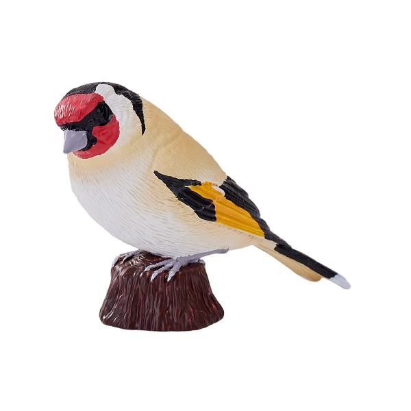 Moje Stehlík obecný (obrázek 3)