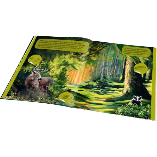 KOUZELNÝ SVĚT LESA – Kniha samolepek
