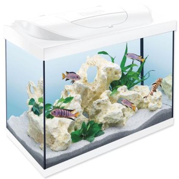 Akváriový set Tetra Starter Line LED bílý 61x32x51cm 80l