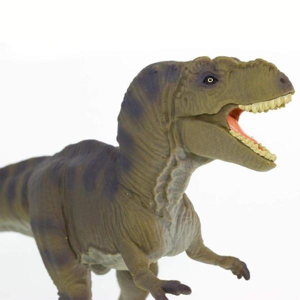 Safari® Tyrannosaurus Rex dinosaurus (obrázek 3)