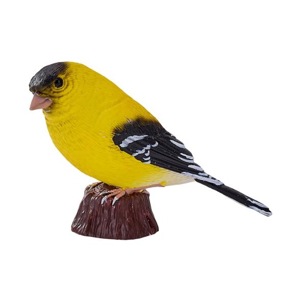 Můj Čížek žlutý