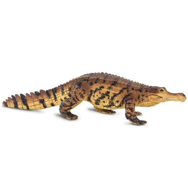 Safari® Sarcosuchus dinosaurus (obrázek 6)