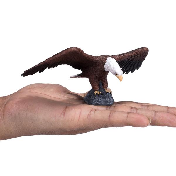 Mojo Orel bělohlavý (obrázek 3)