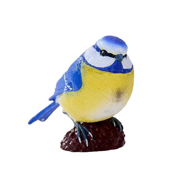 Moje Sýkorka modřinka