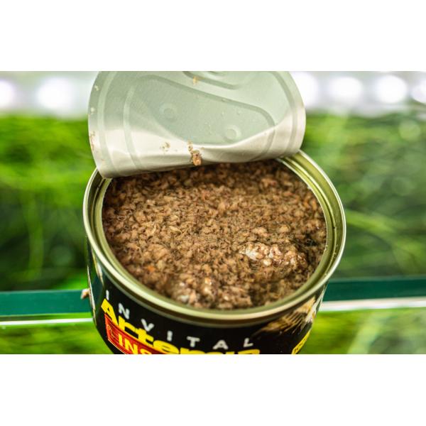 INVITAL Instant Artemie 100g