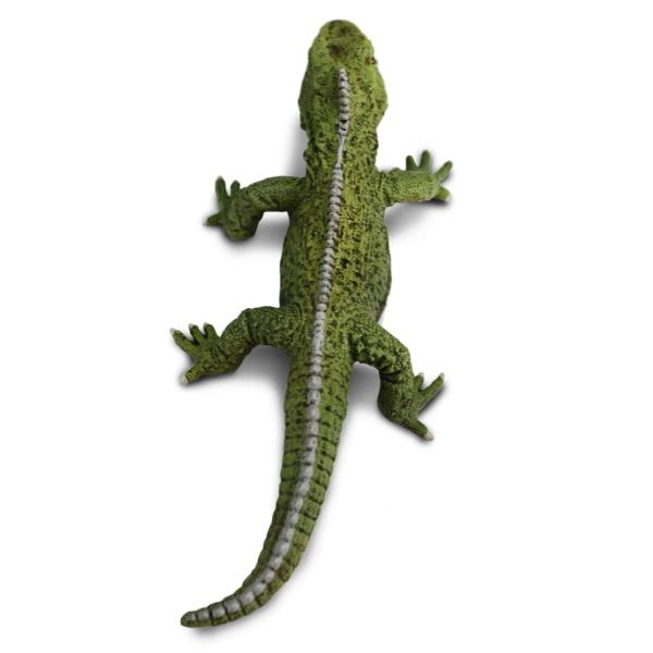 Safari® Hatérie novozélandská (obrázek 4)