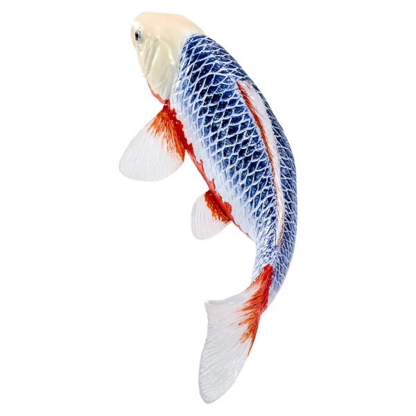 Mojo Kapor koi asagi