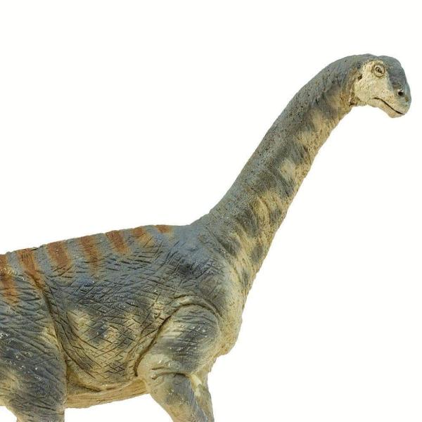 Safari® Camarasaurus dinosaurus