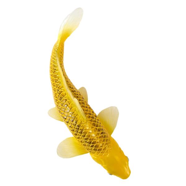 Mojo Kapor koi kin matsuba