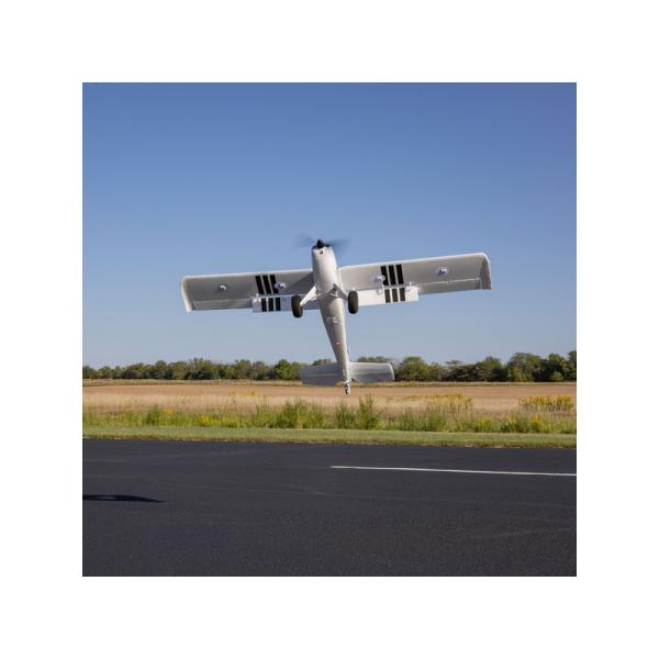 E-flite Timber 1.5m 10th Anniversary Special Edition PNP (obrázek 3)