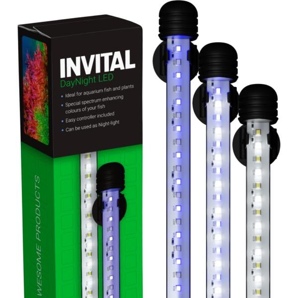 INVITAL DayNight LED 13,2W 58,5cm