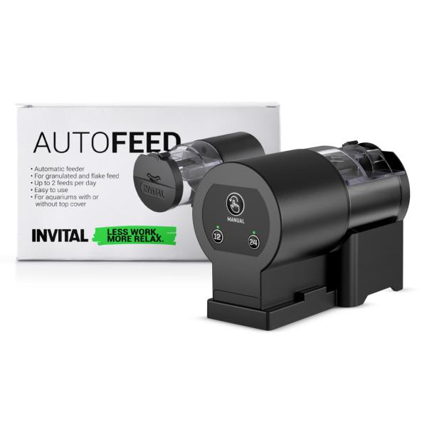 INVITAL mangiatoia automatica