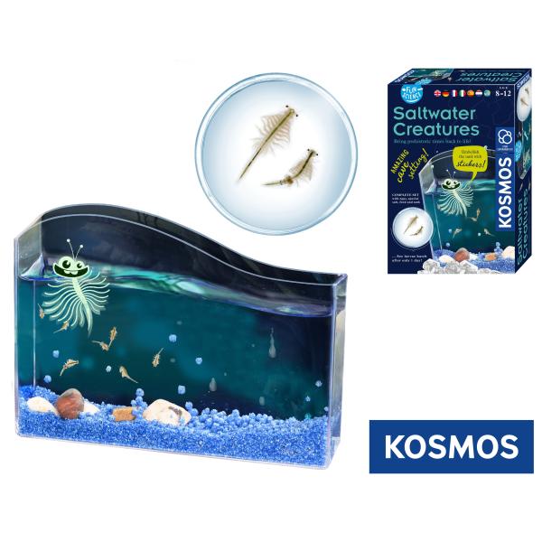 KOSMOS Vodný maznáčik žábronožka soľná