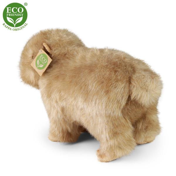 Plyšová kapybara 30 cm ECO-FRIENDLY (obrázek 4)
