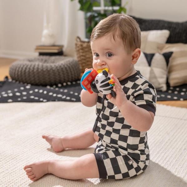 BABY EINSTEIN Kousátko s chrastítkem zebra Zen™ Shake-a-Shape bez BPA 0m+ (obrázek 9)