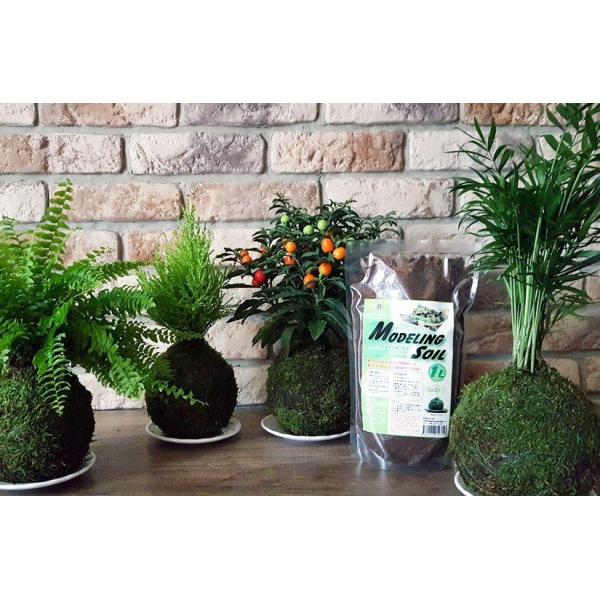 Modelování půdy 4l pro Wabi-kusa