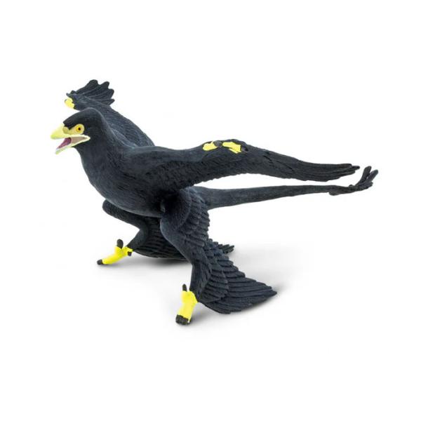 Safari® Microraptor dinosaurus (obrázek 4)