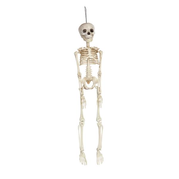 Vysiaca kostra 45 cm -dekorácia