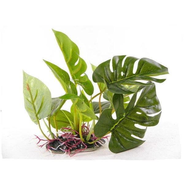 UP Aqua plastová akvarijní rostlina Anubias 1215