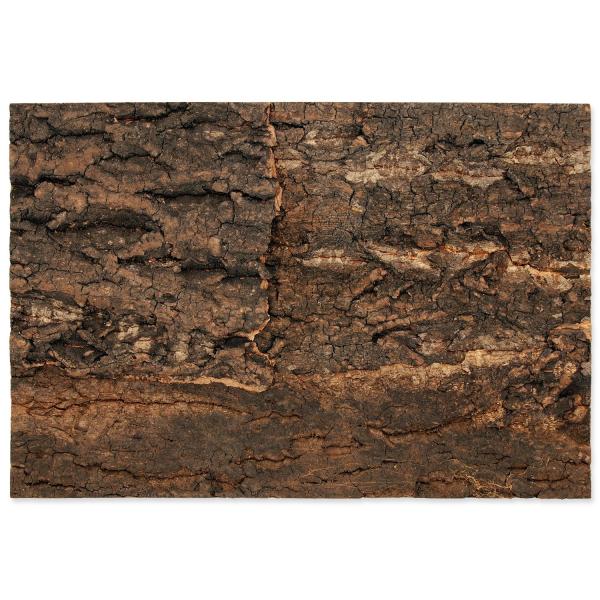 Sfondo Repti Planet sughero naturale 28,5x41x2cm