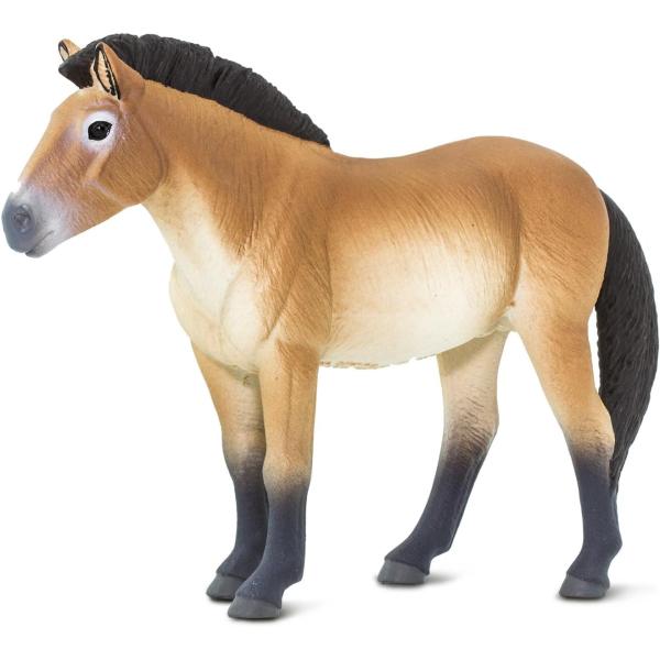 Safari® Kůň Převalského