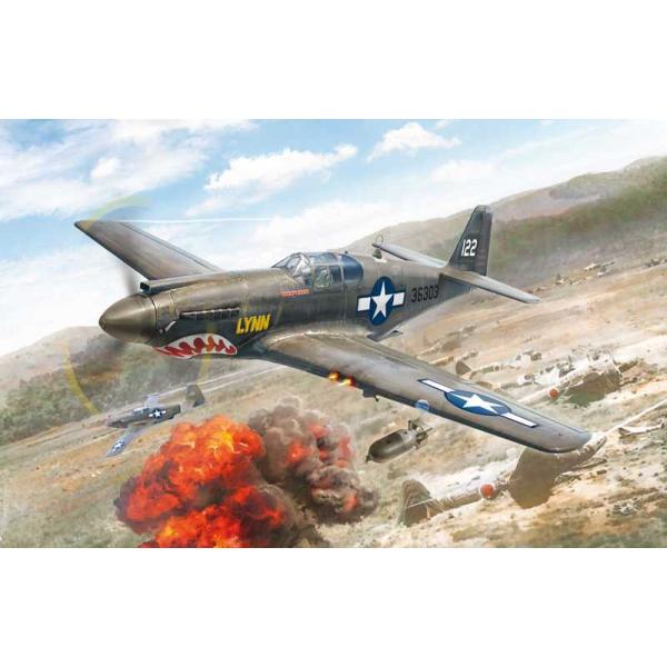 Model Kit letadlo 1423 - P-51A Mustang (1:72) (obrázek 6)