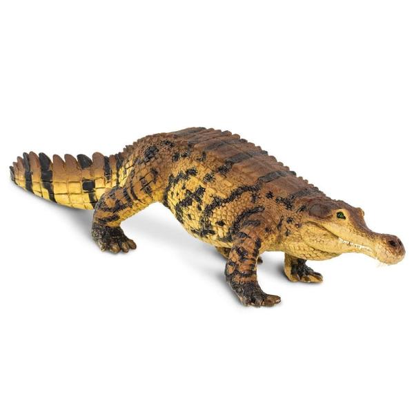 Safari® Sarcosuchus  dinosaurus