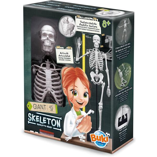 Lidská kostra 45cm (2180)