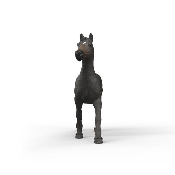 Schleich Klisna anglického plnokrevníka (obrázek 3)