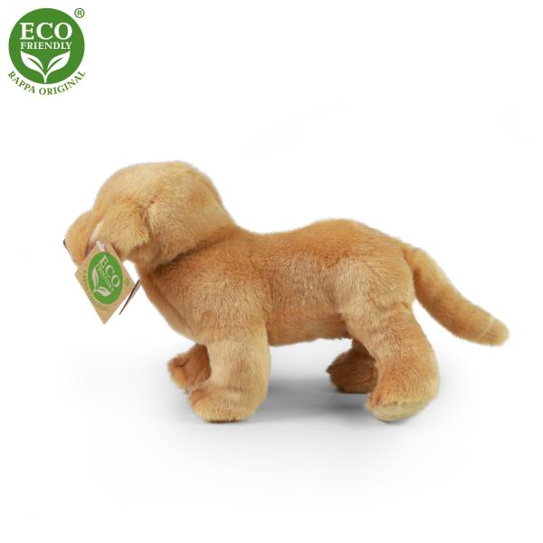 Plyšový labrador stojící 20 cm ECO-FRIENDLY (obrázek 3)