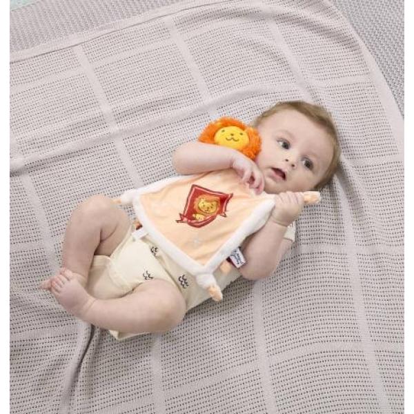 Rainbow Harry Potter Plyšový mazlíček Nebelvír