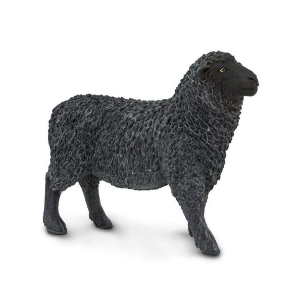 Safari® Černá ovce