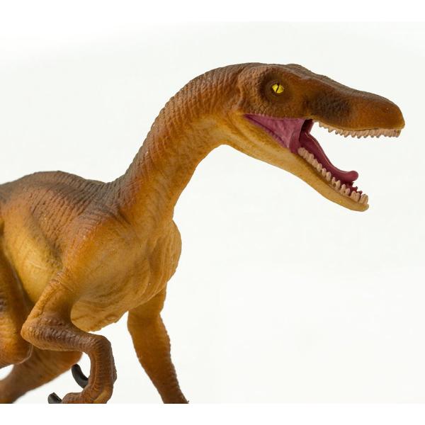Safari® Velociraptor dinosaurus (obrázek 3)