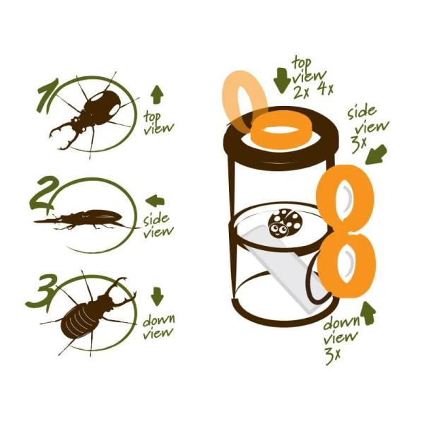 Navir – Explora – kelímek na pozorování hmyzu – 3 možnosti pozorování