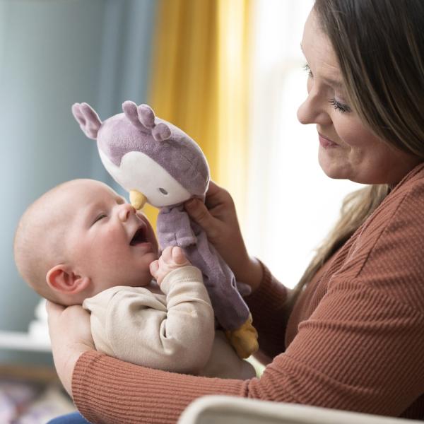 INGENUITY Hračka plyšová sova Nally 0m+ (obrázek 9)