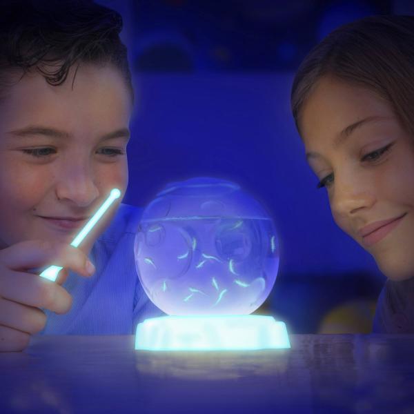 Vodní dráčci – návštěvníci vesmíru