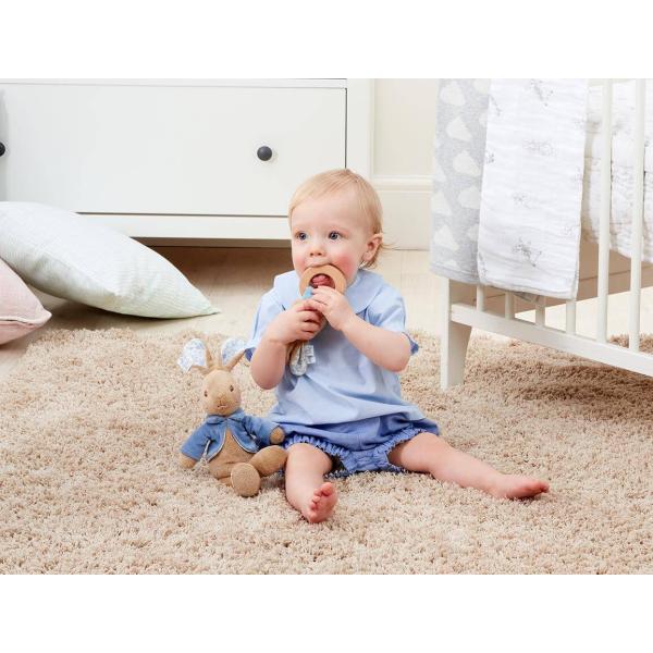 Rainbow Chrastítko králíček Petr (obrázek 6)