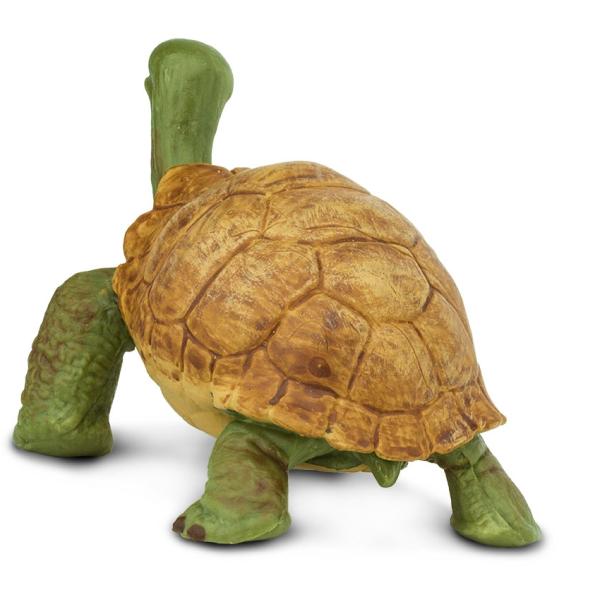 Safari® Želva obrovská (obrázek 3)