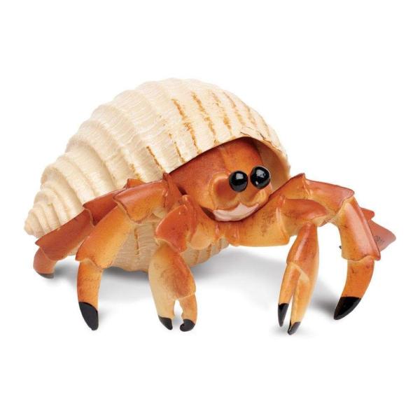Safari® Krab poustevník