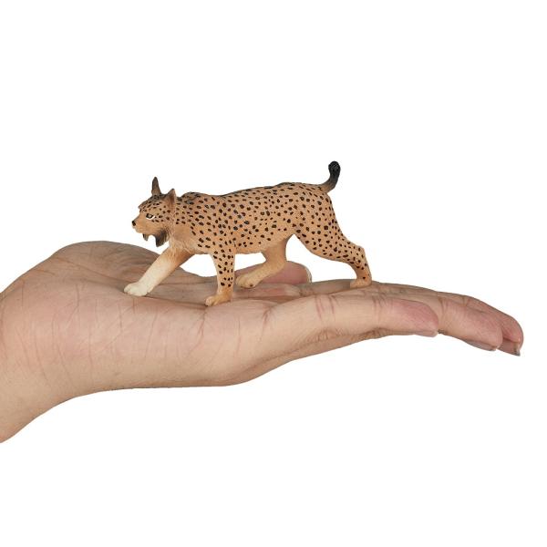 Mojo Rys ostrovid (obrázek 4)