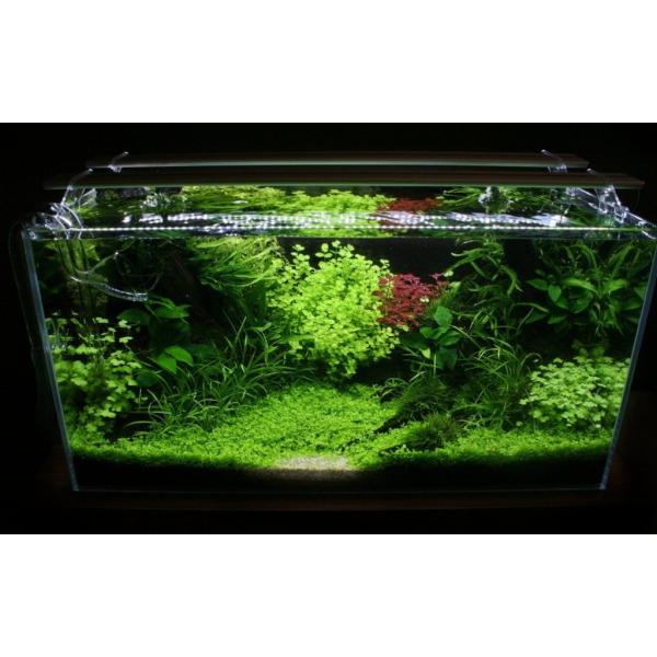 Sinkor LED II 120 cm bílá 40W s Wifi LED ovládáním (obrázek 6)