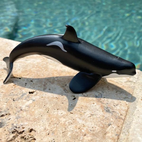 Safari® Orca typ D (obrázek 8)