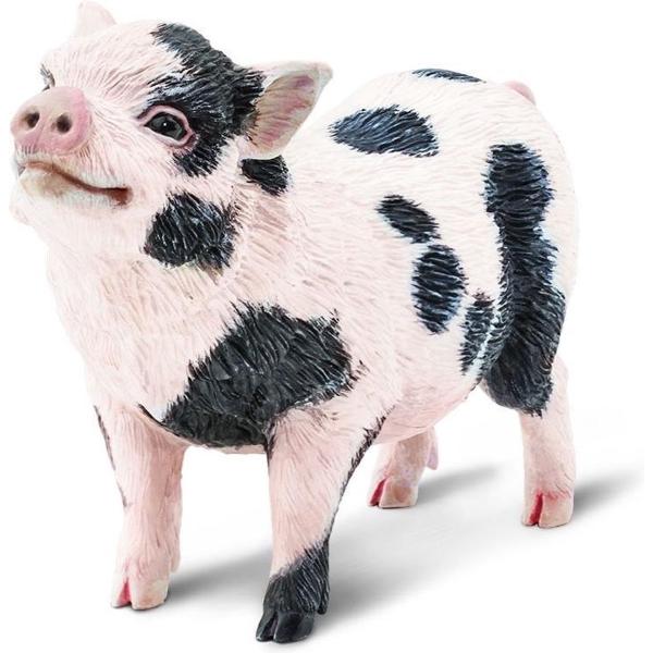 Safari® Zvědavé prasátko (obrázek 3)